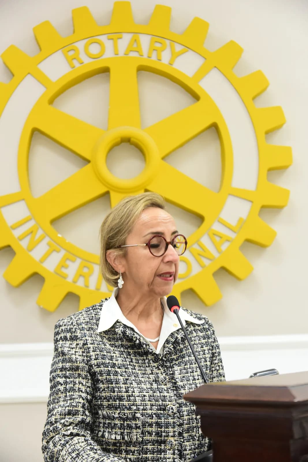 Visita oficial do Governador Henrique Misawa ao Rotary Club de São Paulo em 23 de setembro de 2026 — foto 171