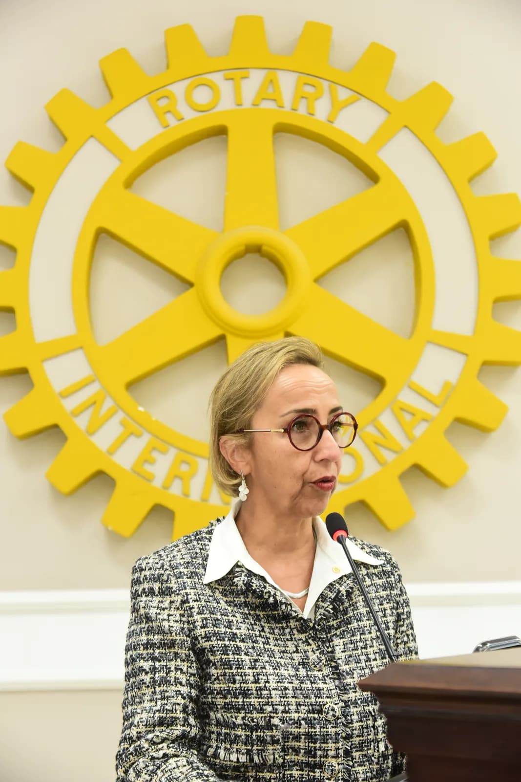 Visita oficial do Governador Henrique Misawa ao Rotary Club de São Paulo em 23 de setembro de 2026 — foto 172