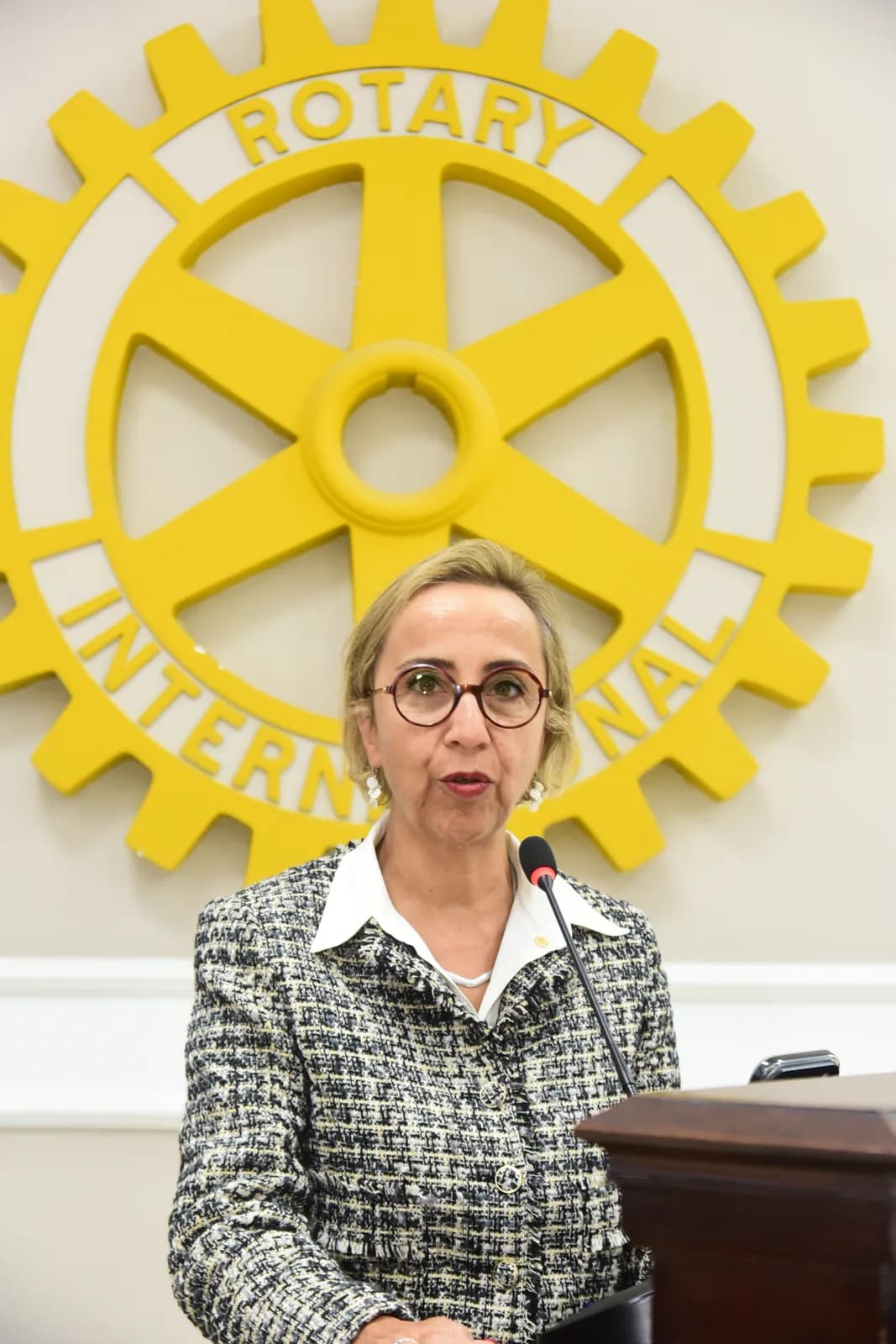 Visita oficial do Governador Henrique Misawa ao Rotary Club de São Paulo em 23 de setembro de 2026 — foto 173