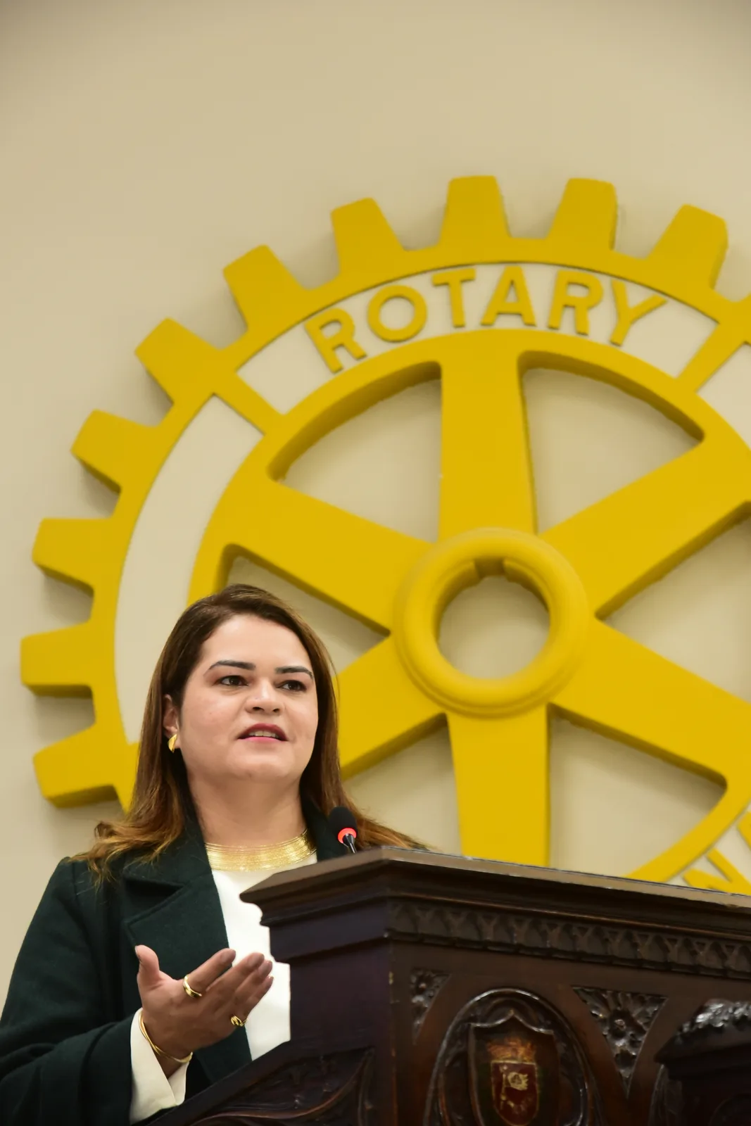 Visita oficial do Governador Henrique Misawa ao Rotary Club de São Paulo em 23 de setembro de 2026 — foto 191