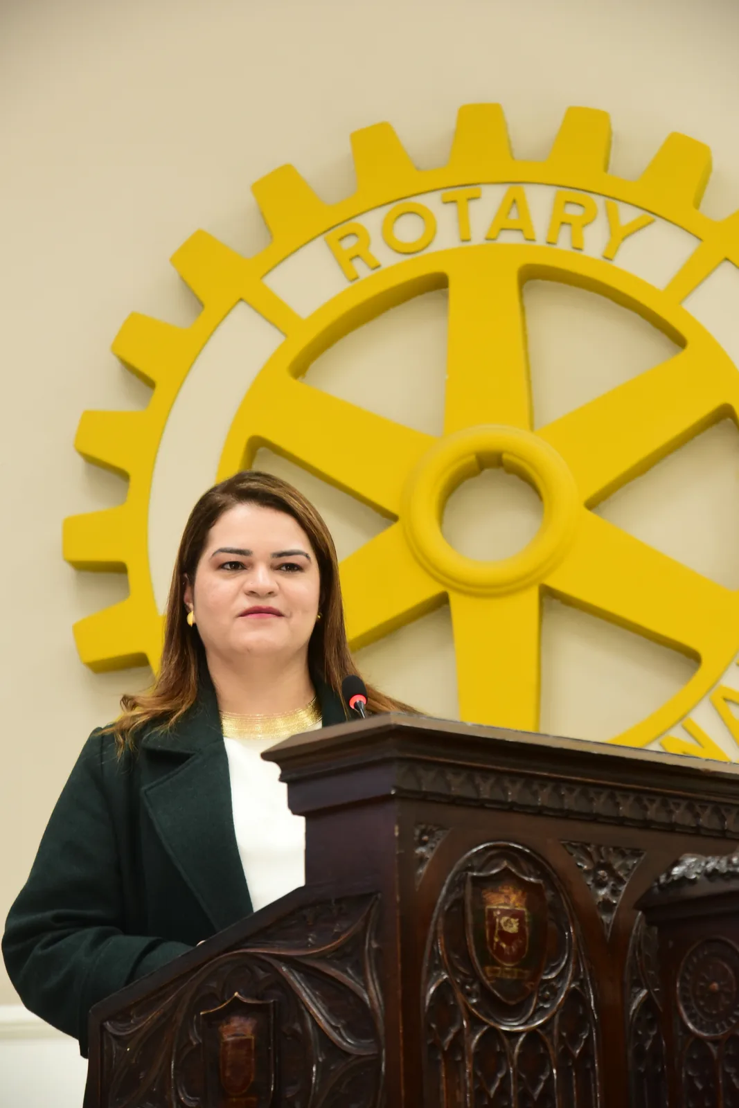 Visita oficial do Governador Henrique Misawa ao Rotary Club de São Paulo em 23 de setembro de 2026 — foto 192