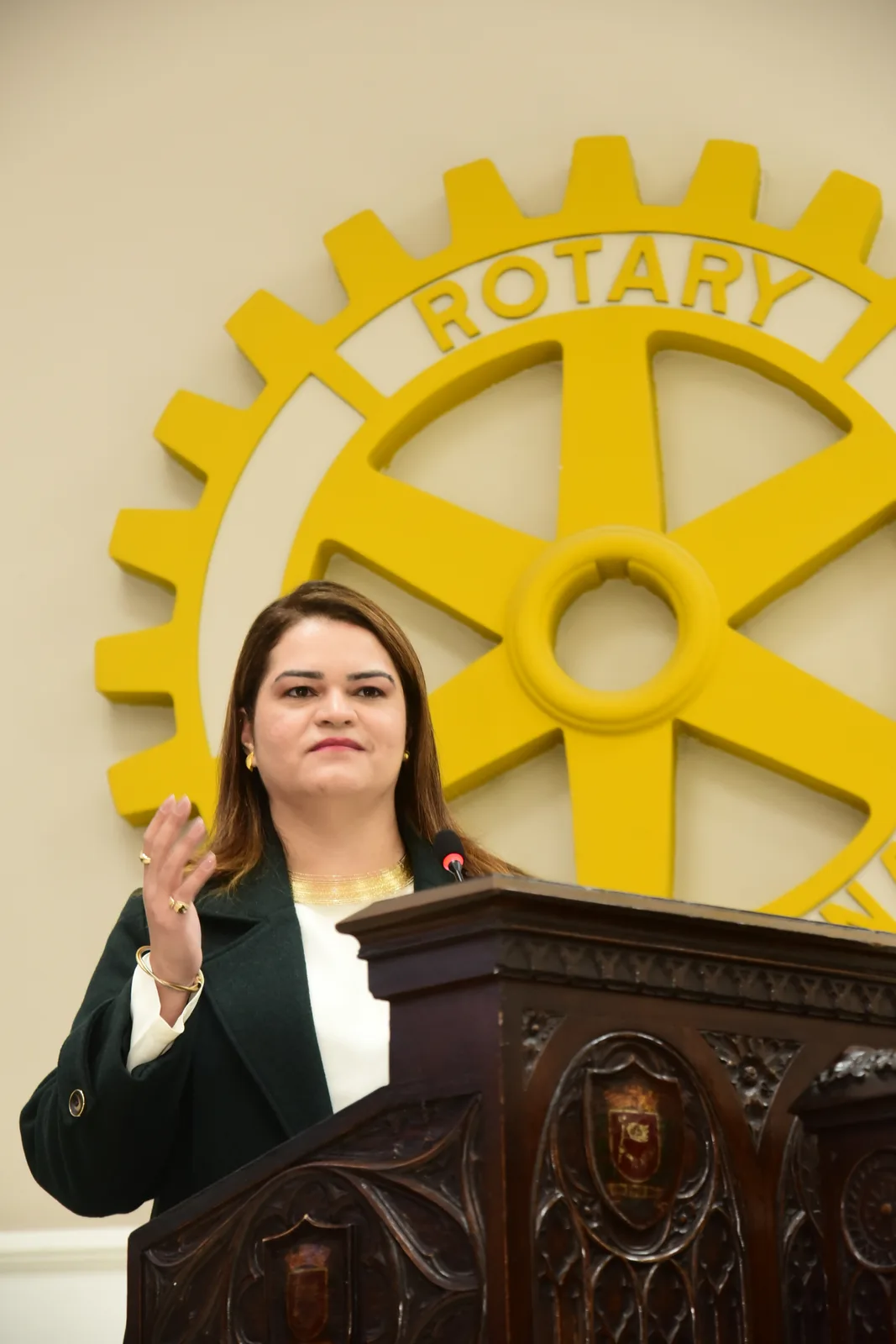 Visita oficial do Governador Henrique Misawa ao Rotary Club de São Paulo em 23 de setembro de 2026 — foto 194