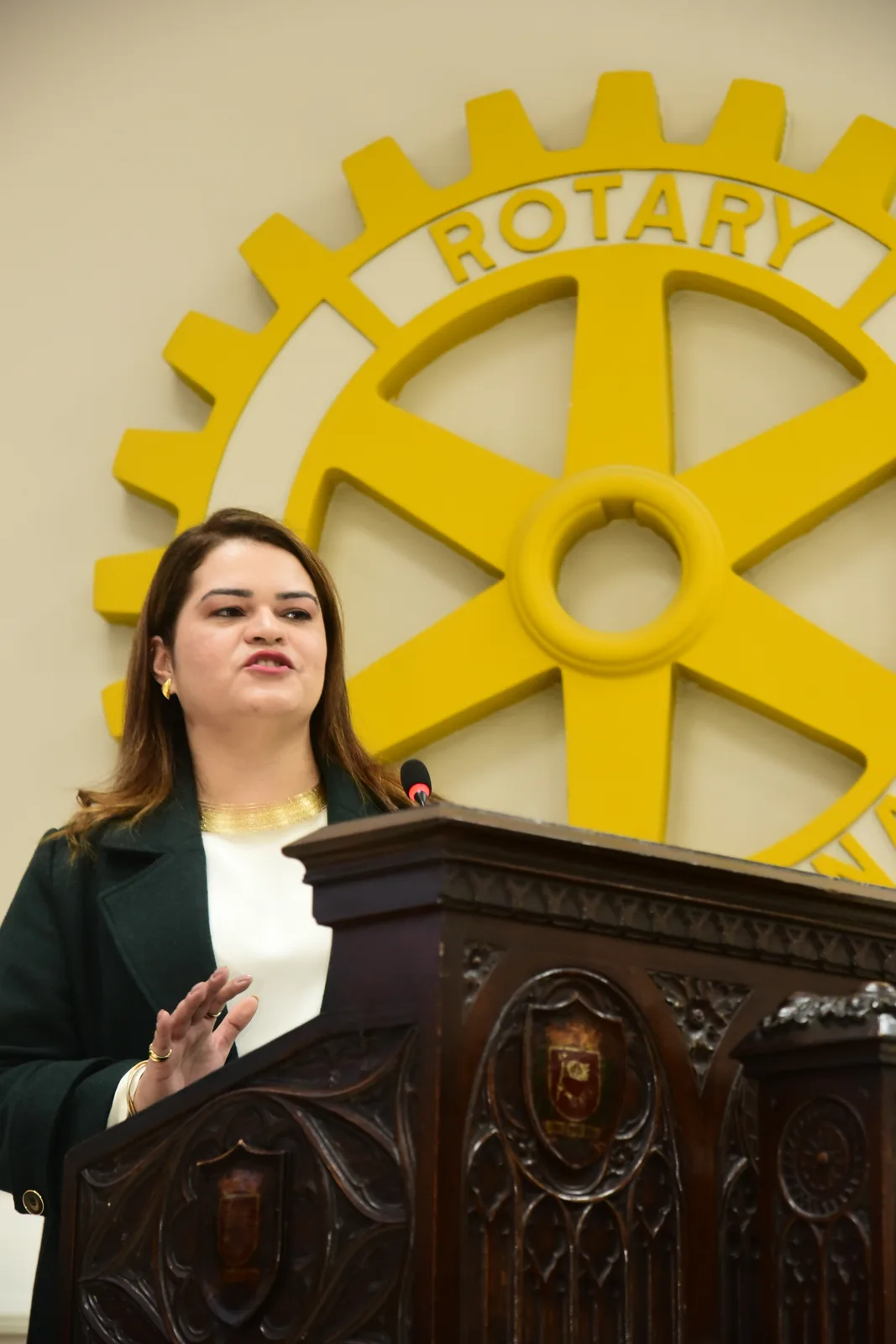 Visita oficial do Governador Henrique Misawa ao Rotary Club de São Paulo em 23 de setembro de 2026 — foto 195